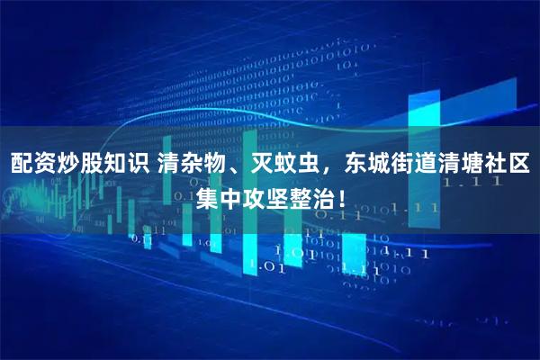 配资炒股知识 清杂物、灭蚊虫，东城街道清塘社区集中攻坚整治！