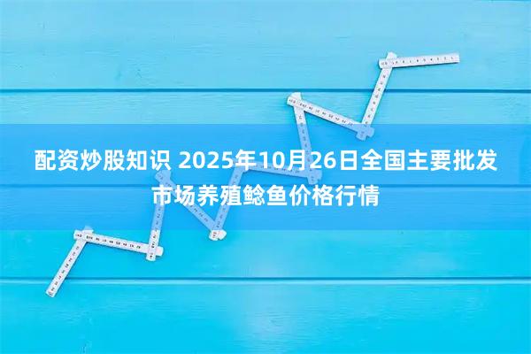 配资炒股知识 2025年10月26日全国主要批发市场养殖鲶鱼价格行情