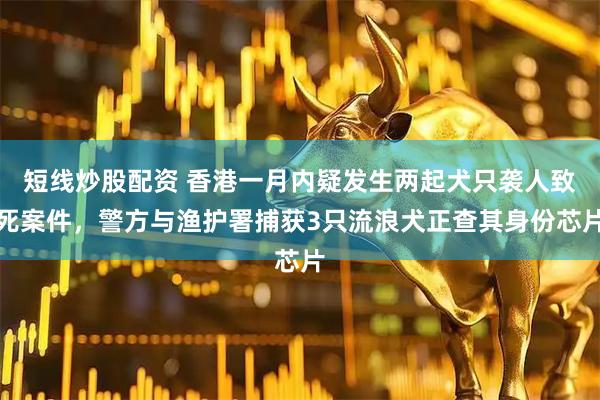短线炒股配资 香港一月内疑发生两起犬只袭人致死案件，警方与渔护署捕获3只流浪犬正查其身份芯片
